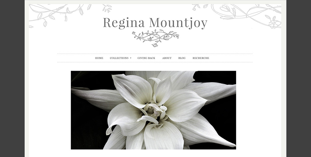 MountjoyIHome-Header.jpg